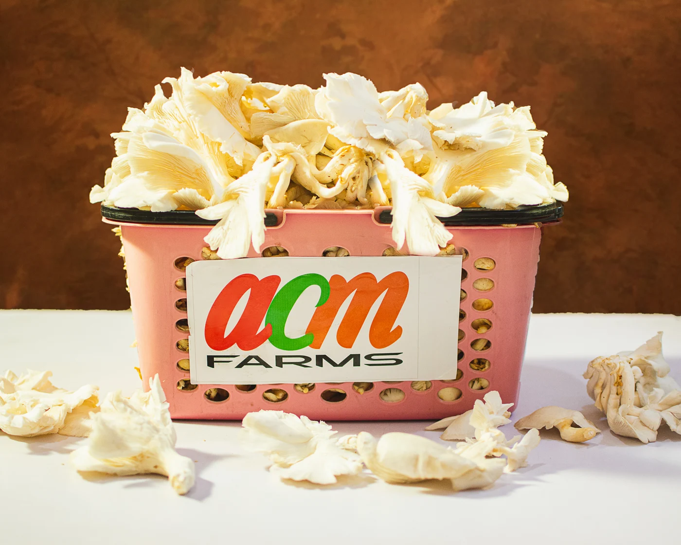 Fresh oyster mushrooms in an ACM Farms branded basket